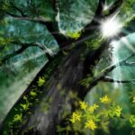 photo_2023-02-22_13-21-27