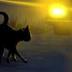 photo_2023-04-11_12-33-58